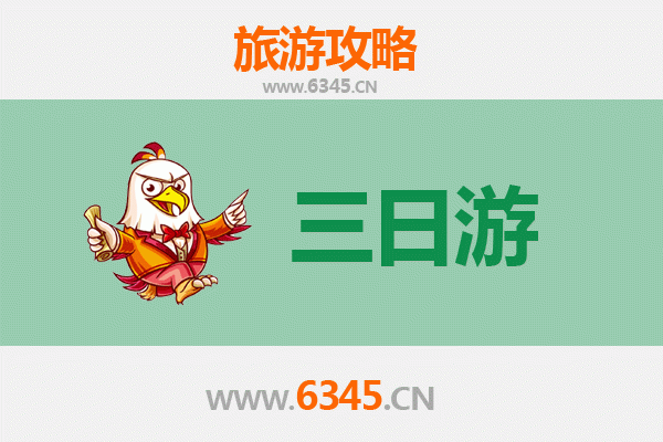 宜兰冬山春节三日游攻略：茶园、温泉与年味交织的慢时光